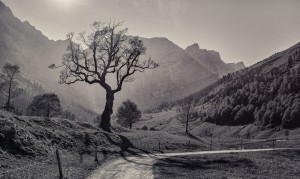 Landschaft Landschaftsfotografie Natur Schwarz-Weiß Landscape Architektur Architecture Outdoor Urban Lost Places Thomas Brand Ebersberg Ahornboden Österreich