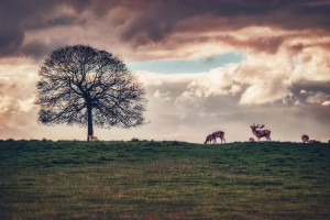 Landschaft Landschaftsfotografie Natur Schwarz-Weiß Landscape Architektur Architecture Outdoor Urban Lost Places Thomas Brand Ebersberg Toskana Toscana Strand Nacht