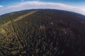 Luftaufnahme Quadcopter Drohne GoPro Aerial Ebersberger Forst