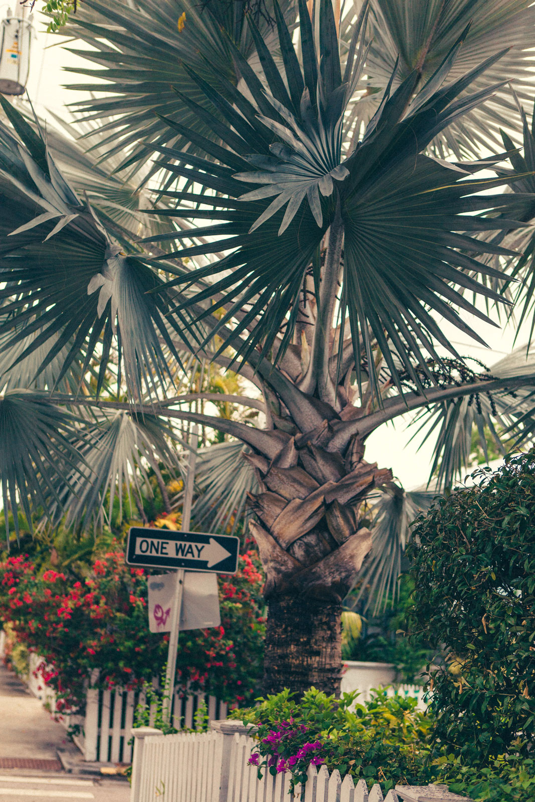 Florida Part 1: FLORIDA KEYS - Der erste Teil unseres Roadtrips führte uns auf die wunderschönen Florida Keys, bestehend aus über 200 Koralleninseln. Thomas Brand Sarah Bugar - brand4art Ebersberg München - Fotografie Cinemagraph Fotograf Fotodesign