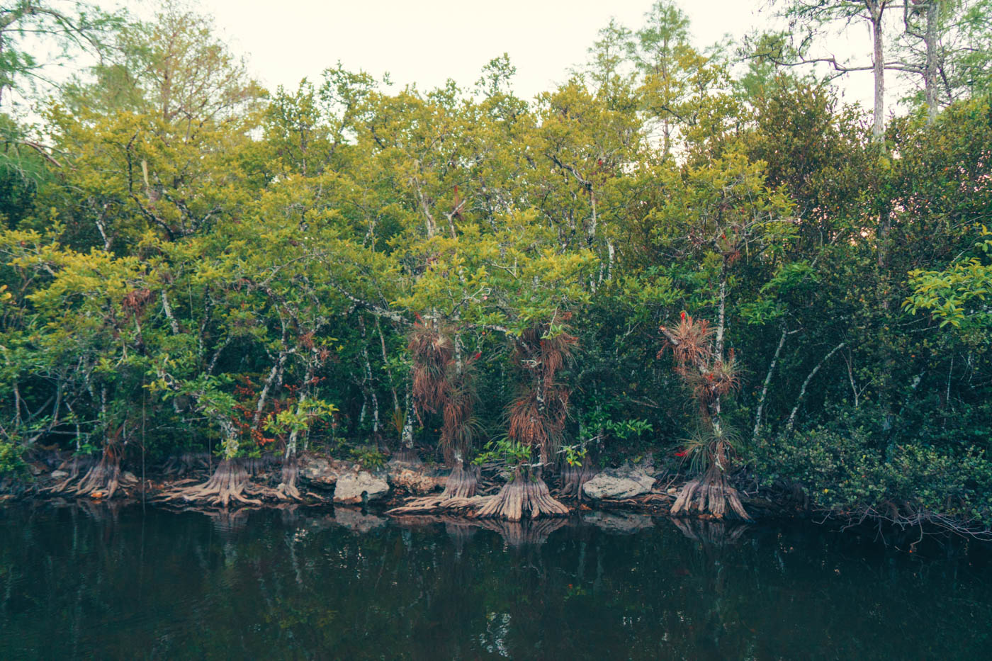 Florida Part 2: Die Everglades und die Golfküste - Der zweite Teil unseres Roadtrips führte uns durch die Everglades bis hin zur südlichen Golfküste - Thomas Brand Sarah Bugar - brand4art Ebersberg München - Fotografie Cinemagraph Fotograf Fotodesign