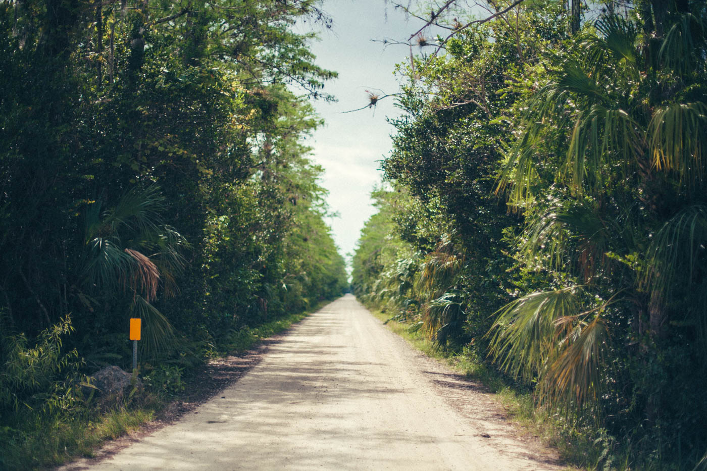 Florida Part 2: Die Everglades und die Golfküste - Der zweite Teil unseres Roadtrips führte uns durch die Everglades bis hin zur südlichen Golfküste - Thomas Brand Sarah Bugar - brand4art Ebersberg München - Fotografie Cinemagraph Fotograf Fotodesign