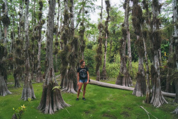 Florida Part 2: Die Everglades und die Golfküste - Der zweite Teil unseres Roadtrips führte uns durch die Everglades bis hin zur südlichen Golfküste - Thomas Brand Sarah Bugar - brand4art Ebersberg München - Fotografie Cinemagraph Fotograf Fotodesign