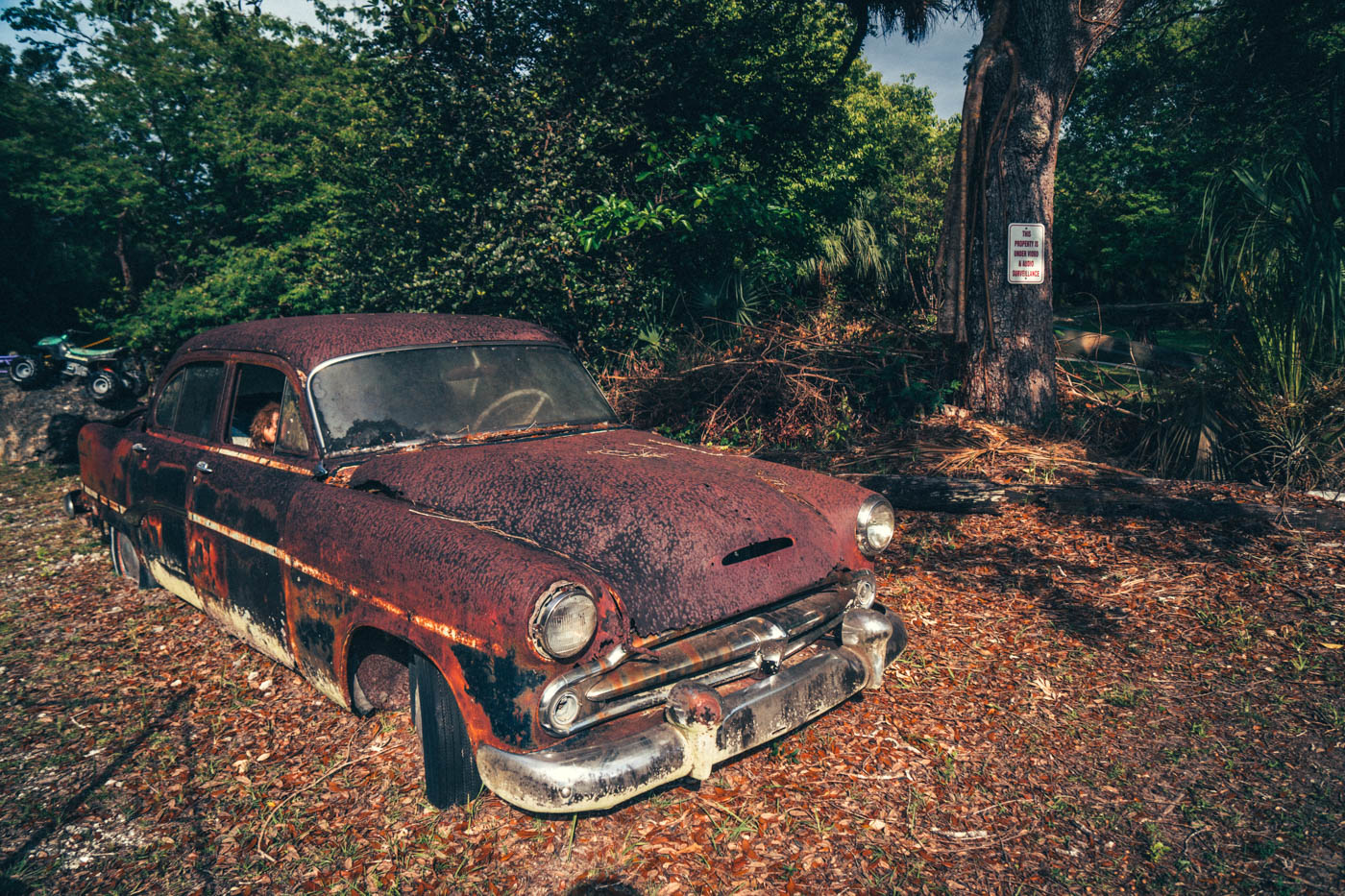 Florida Part 2: Die Everglades und die Golfküste - Der zweite Teil unseres Roadtrips führte uns durch die Everglades bis hin zur südlichen Golfküste - Thomas Brand Sarah Bugar - brand4art Ebersberg München - Fotografie Cinemagraph Fotograf Fotodesign