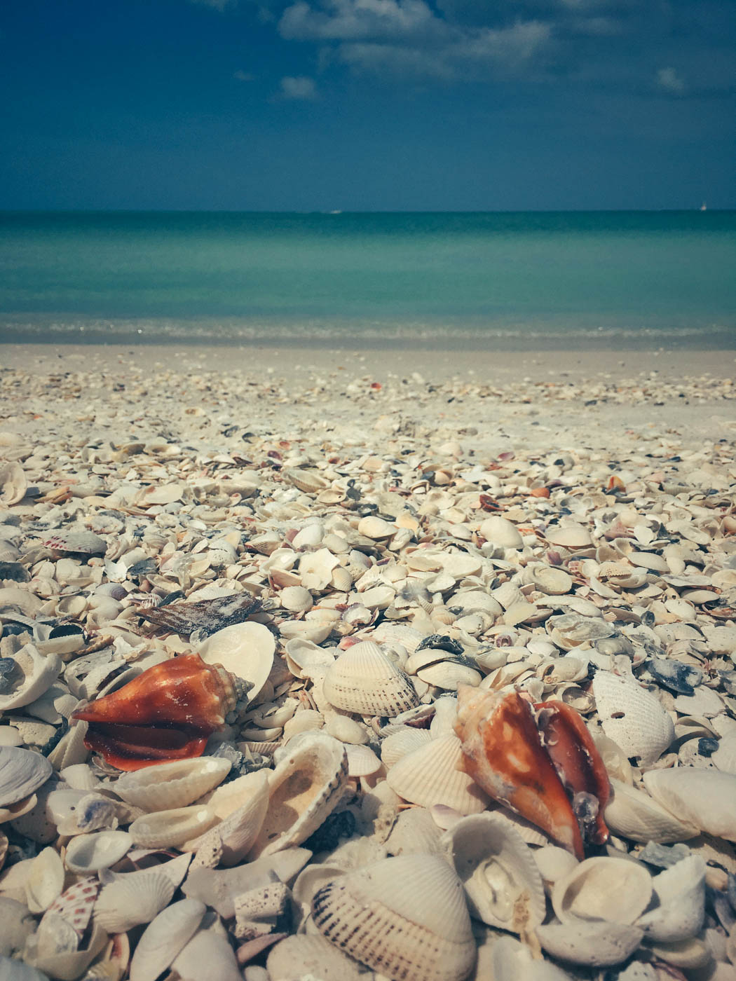 Florida Part 2: Die Everglades und die Golfküste - Der zweite Teil unseres Roadtrips führte uns durch die Everglades bis hin zur südlichen Golfküste - Thomas Brand Sarah Bugar - brand4art Ebersberg München - Fotografie Cinemagraph Fotograf Fotodesign