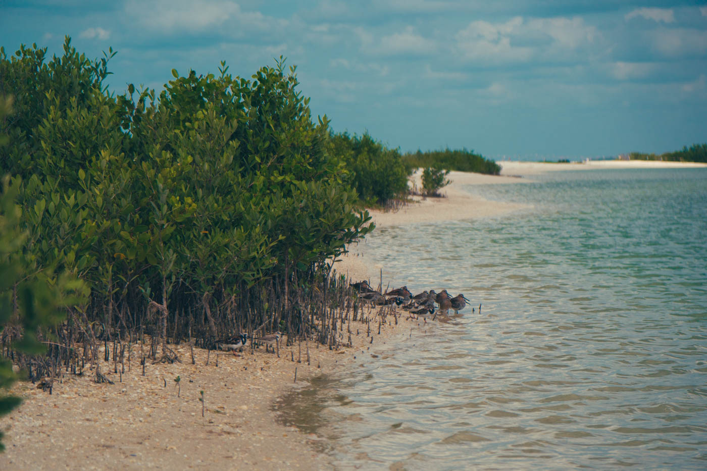 Florida Part 2: Die Everglades und die Golfküste - Der zweite Teil unseres Roadtrips führte uns durch die Everglades bis hin zur südlichen Golfküste - Thomas Brand Sarah Bugar - brand4art Ebersberg München - Fotografie Cinemagraph Fotograf Fotodesign