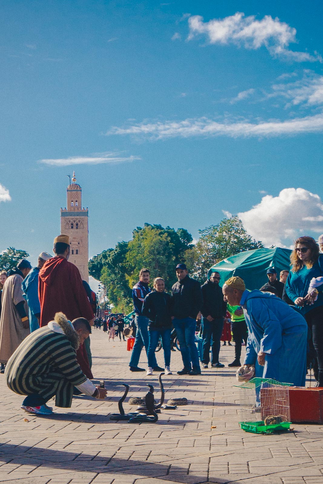 Marrakech, die „Rote Stadt“, ist ein sehr besonderer Ort. Einmal angekommen, ist man auf einer Zeitreise in eine andere Welt. Wir wohnten für fünf Tage in einem traditionellen Riad, ein umgebautes Mehrgenerationenhaus mit Innenhöfen, verwinkelten Gängen, Treppen und Dachterrassen. Thomas Brand Sarah Bugar - brand4art Ebersberg München - Fotografie Cinemagraph Fotograf Fotodesign